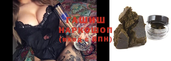 стаф Горняк