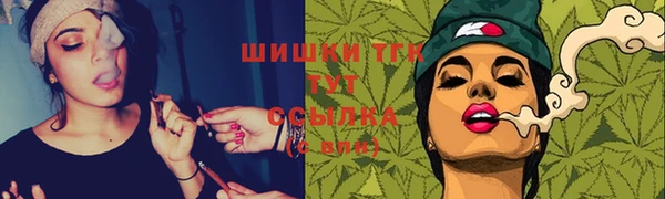 стаф Горняк