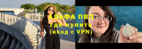 эйфоретик Пересвет
