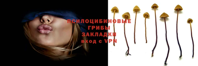 кокаин колумбия Горнозаводск