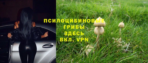 стаф Горняк