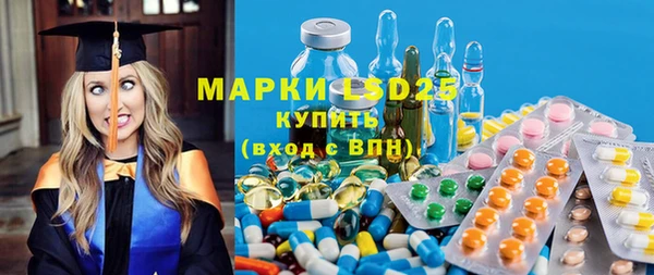 стаф Горняк
