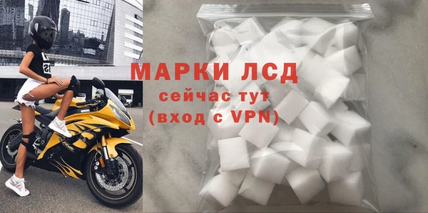 стаф Горняк