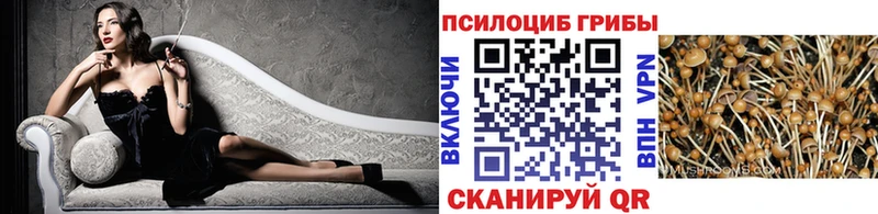 мега маркетплейс  наркота  Гурьевск  Псилоцибиновые грибы ЛСД 
