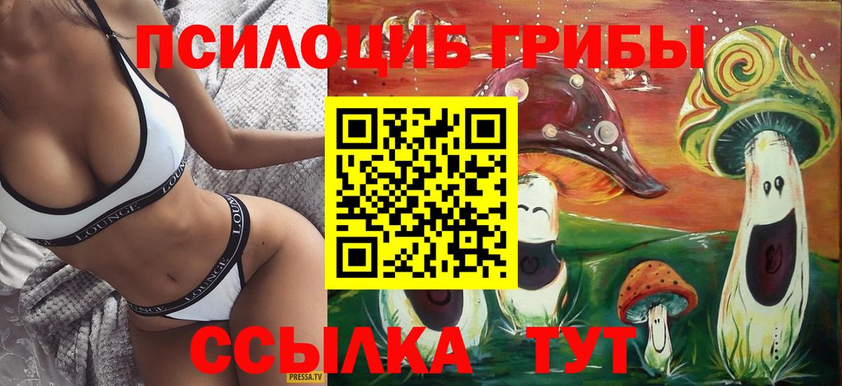 Псилоцибиновые грибы мухоморы  Вход с VPN  Гурьевск  Псилоцибиновые грибы ЛСД 