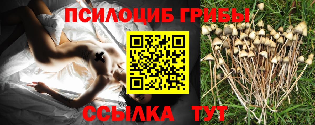 Галлюциногенные грибы Cubensis Гурьевск
